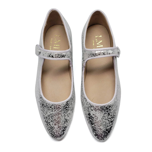 silver wedding shoe