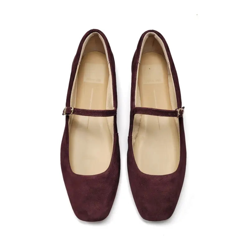 Pair of maroon shoes with a strap on a white background